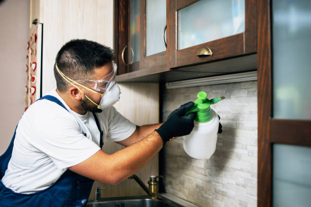 Trusted South Sioux City, NE Pest Control Experts
